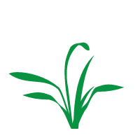 grass icon