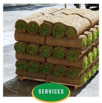see our turf services
