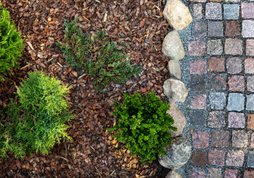 dark brown mulch 